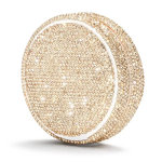 Pre-Order Champagne Gold Portable Case Pouch Container